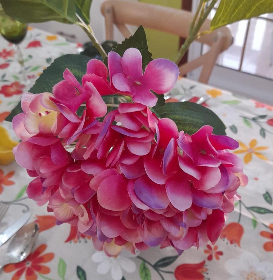 Apartamentos Vigo Dış mekan fotoğraf
